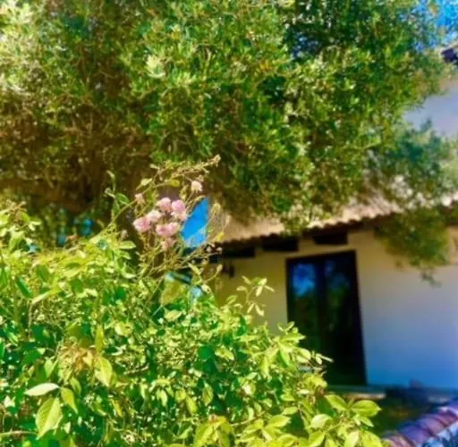 Camera Villa Sarda Aurora