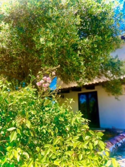 Apartamento Sarda Aurora *