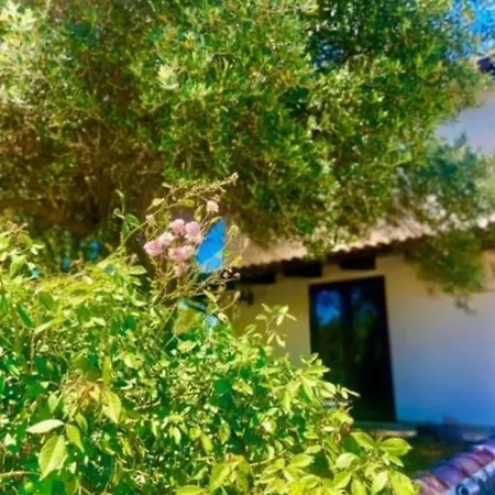 Camera Villa Sarda Aurora Elmas Exterior photo